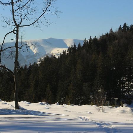 Chata Donovaly Buly 242/C Exteriör bild