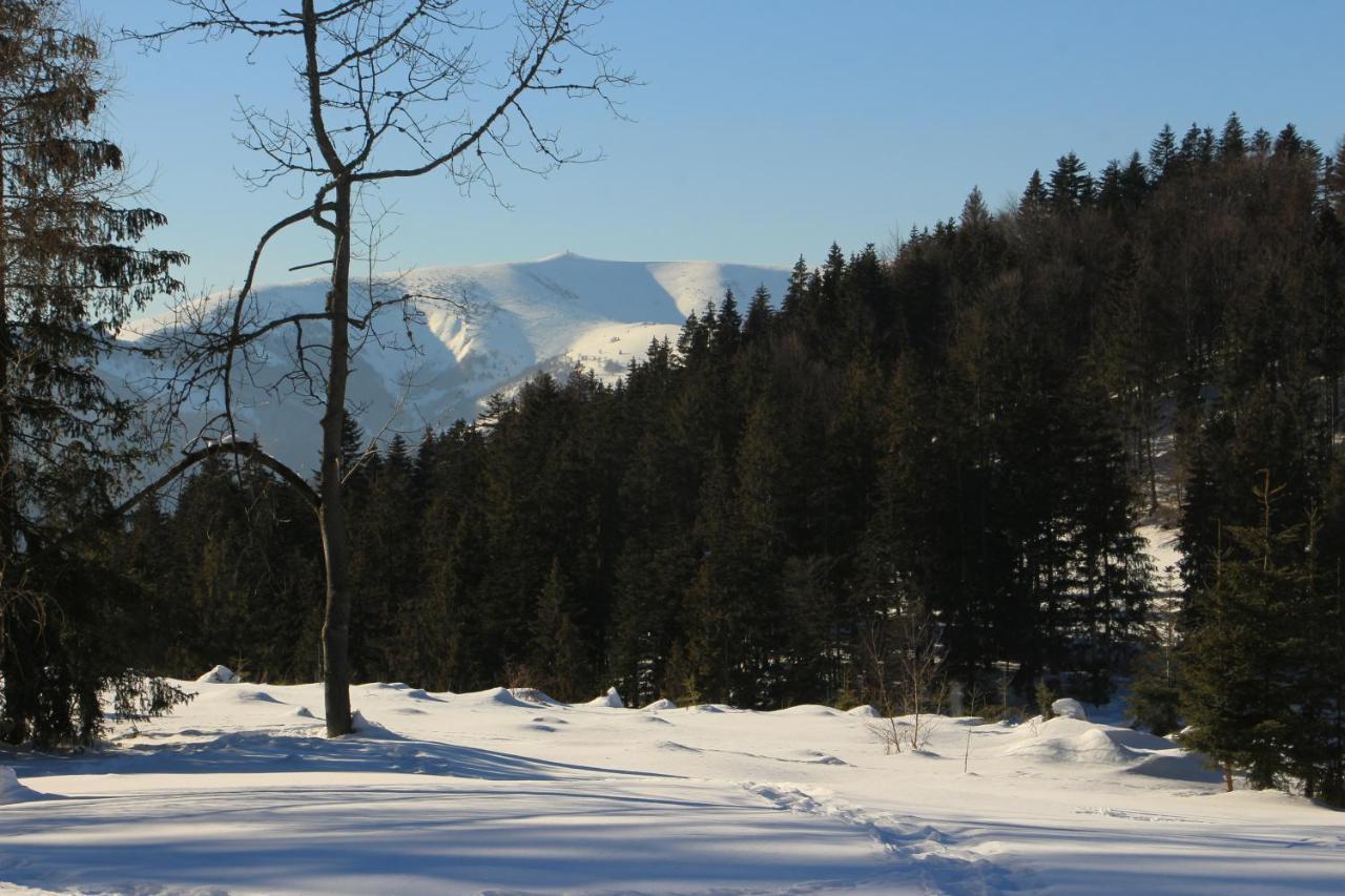 Chata Donovaly Buly 242/C Exteriör bild